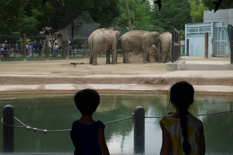 Zoo ueno