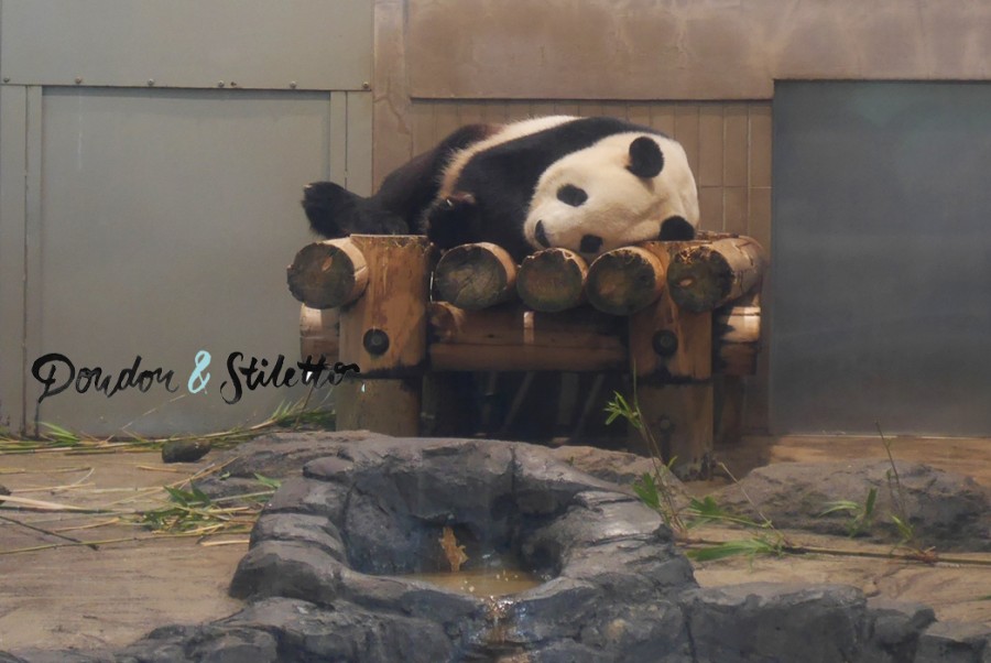 Zoo ueno