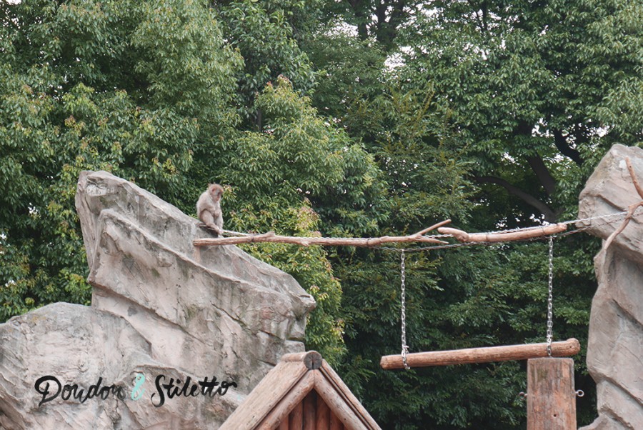 Zoo ueno