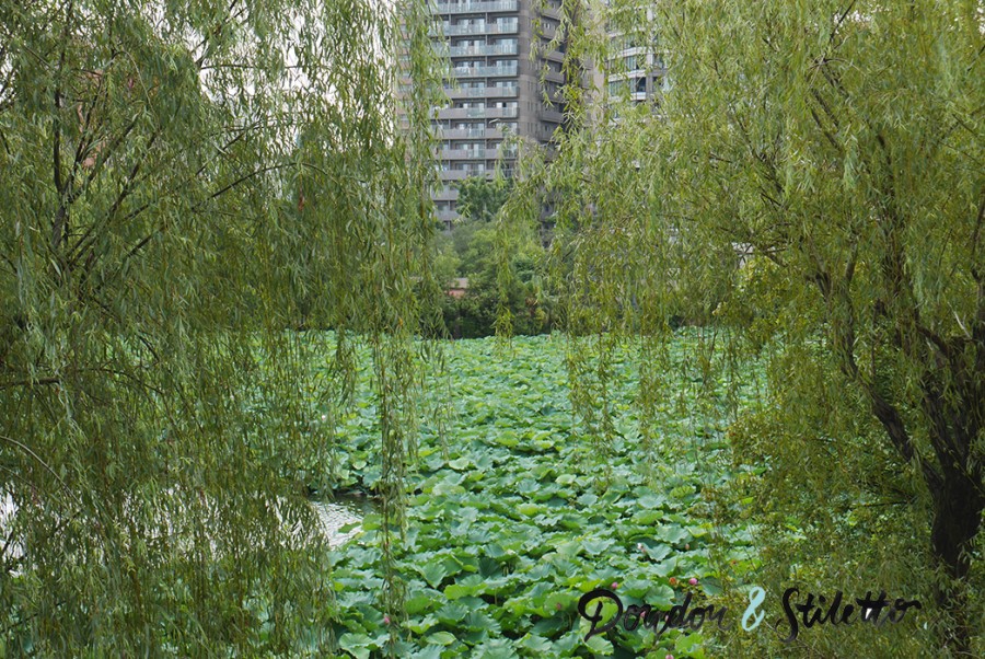 Zoo ueno