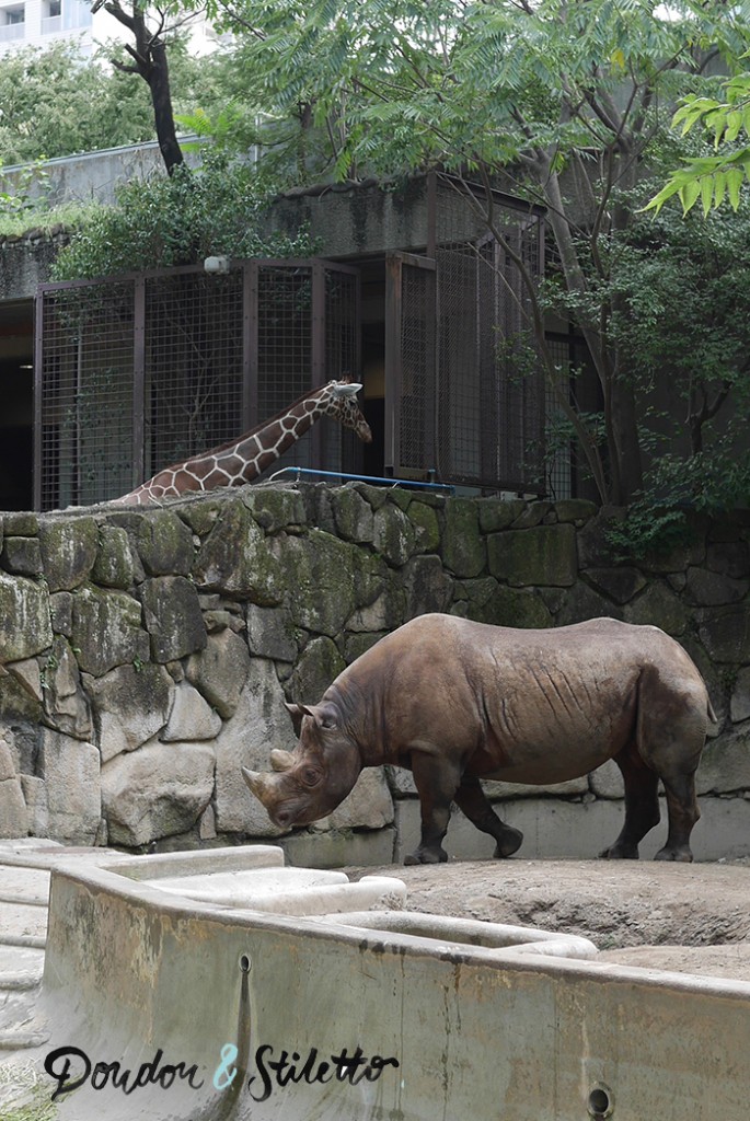 Zoo ueno