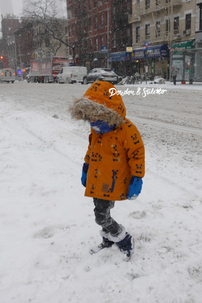 Bomb cyclone new york