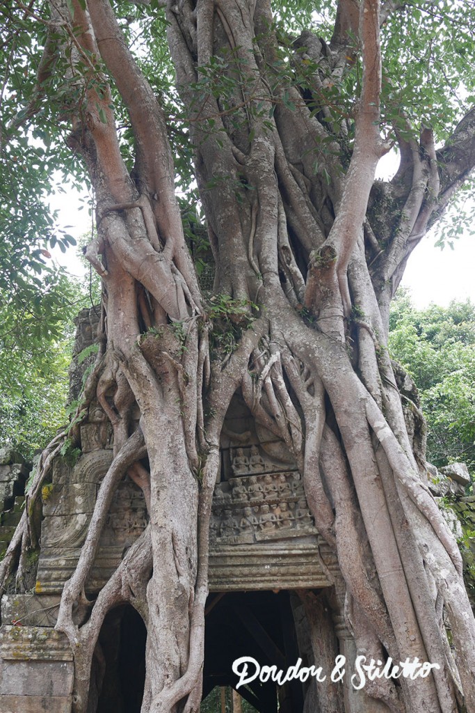 Ta Som - Angkor5
