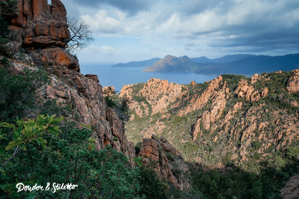 Corse Ajaccio12