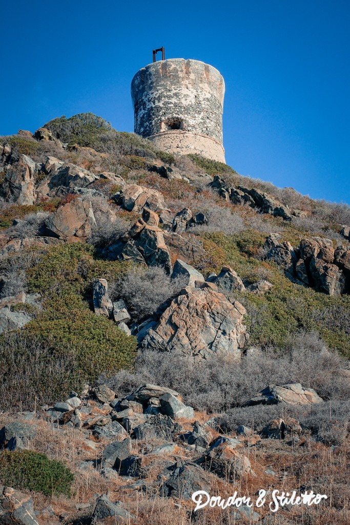 Corse Ajaccio17