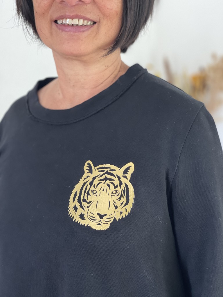 Cricut Joy 6