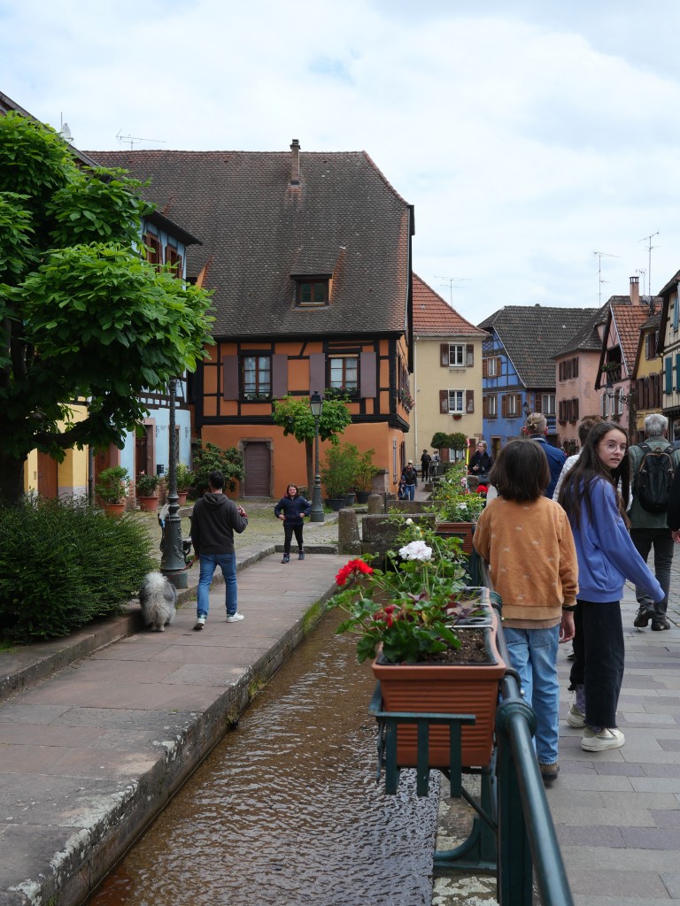 Alsace15