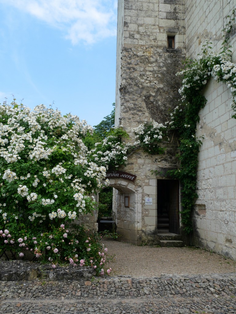 Château du rivau18
