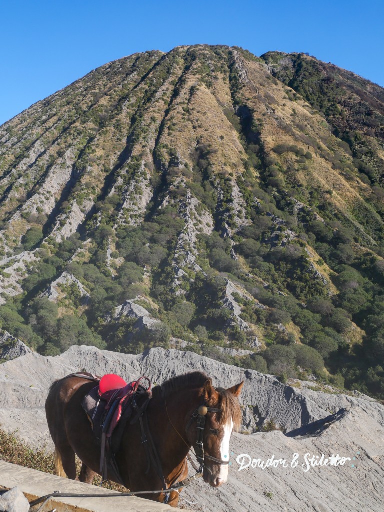 Bromo9