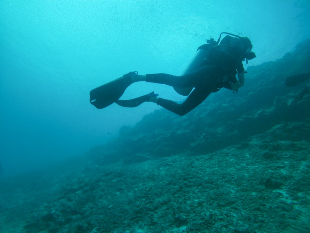 GOPR0045