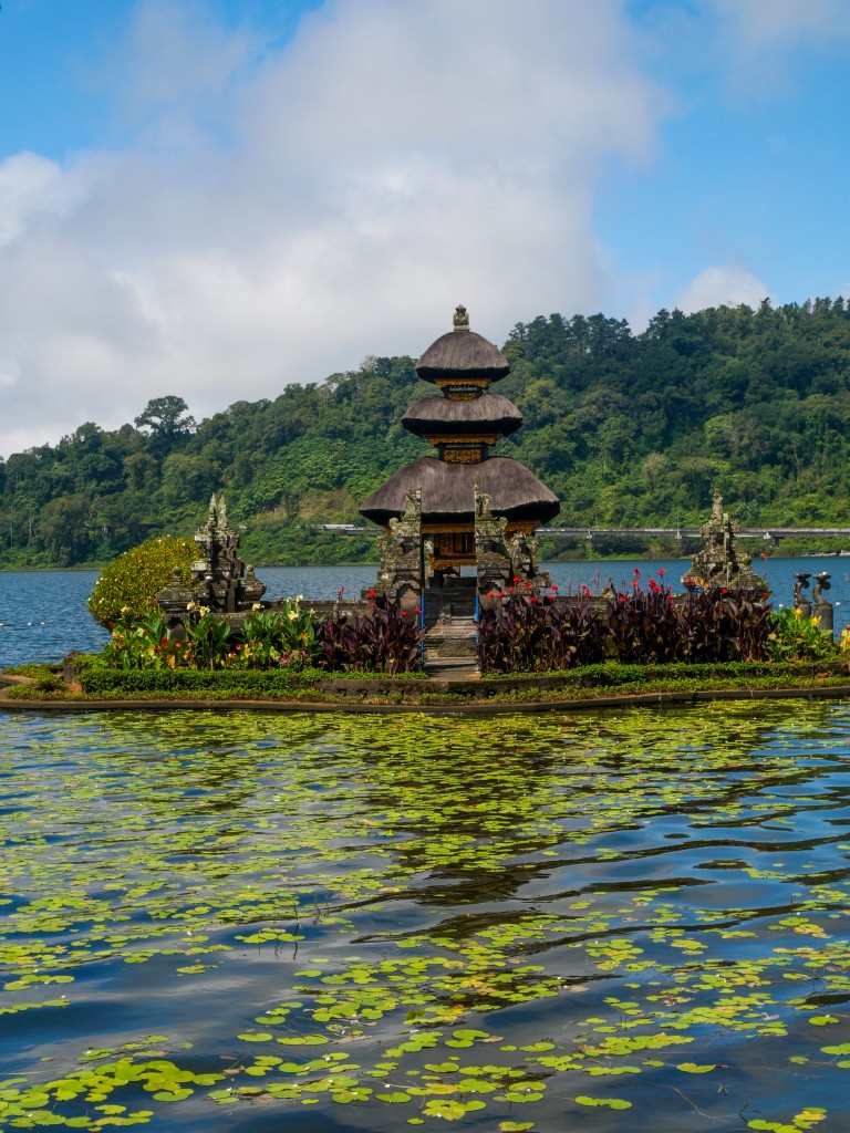 Ubud en famille19