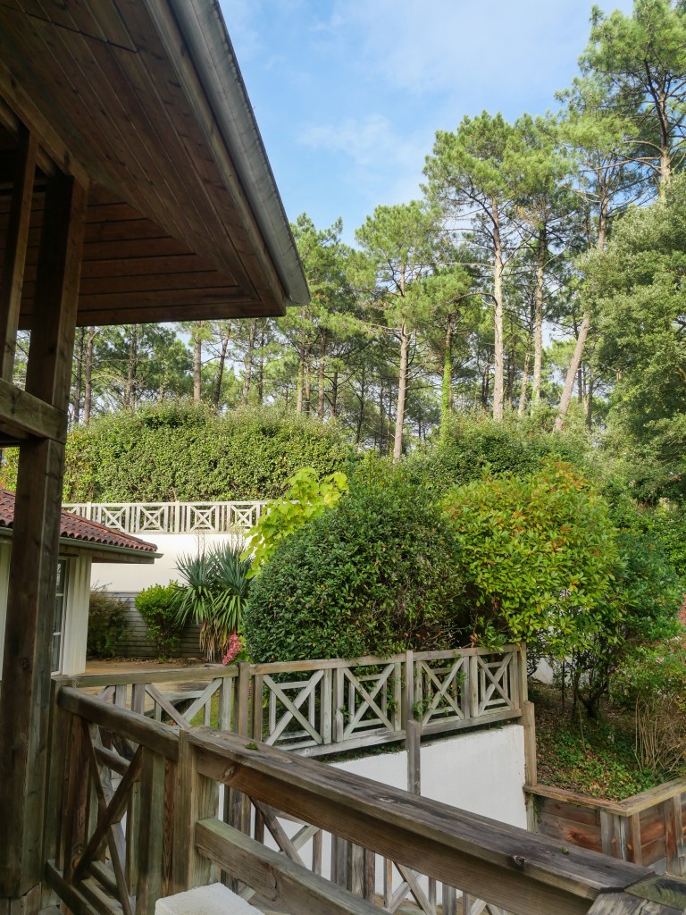 Madame Vacances - La Clairière aux cheveuils 9