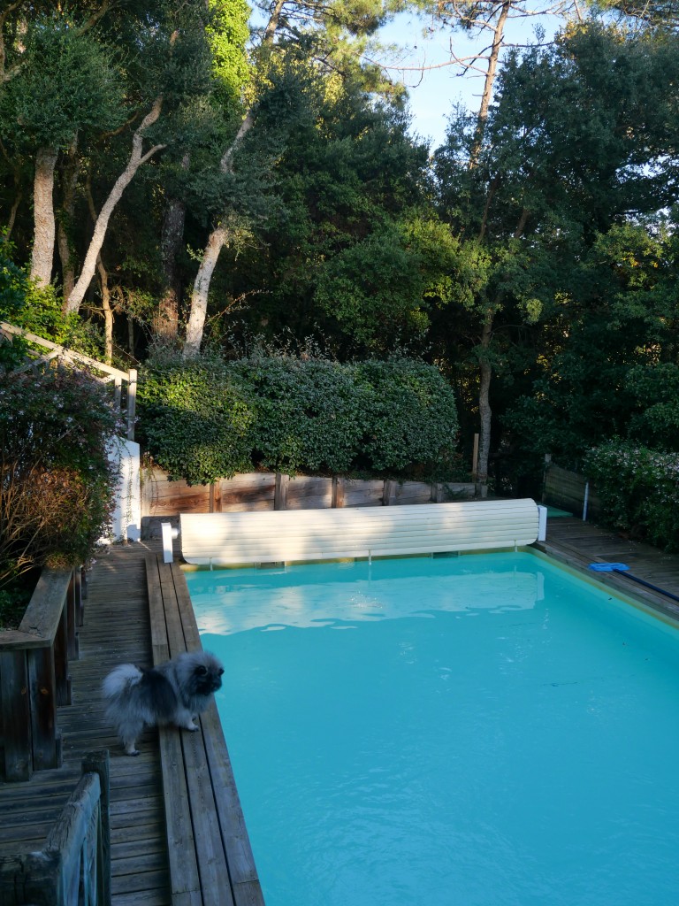 P1195536