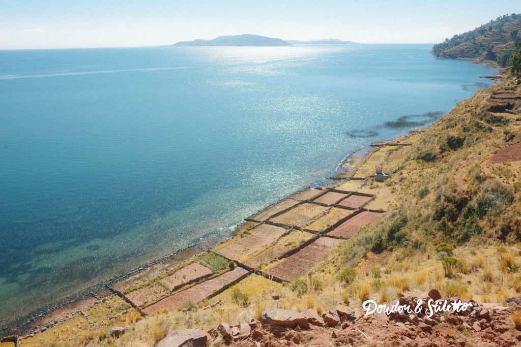 Titicaca15