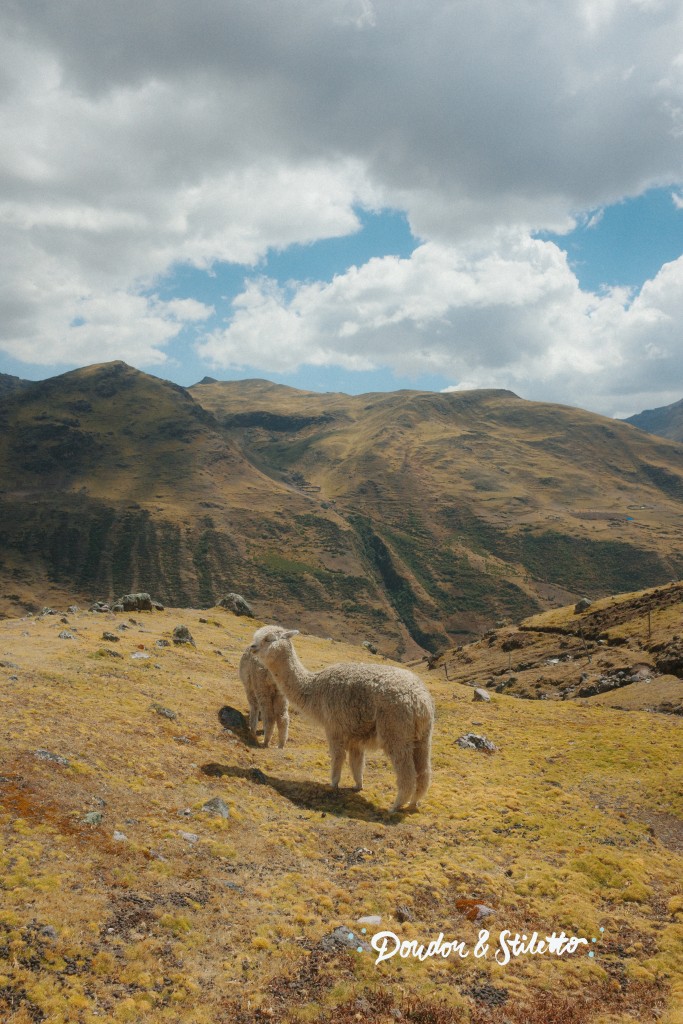 Trek du Lares 3