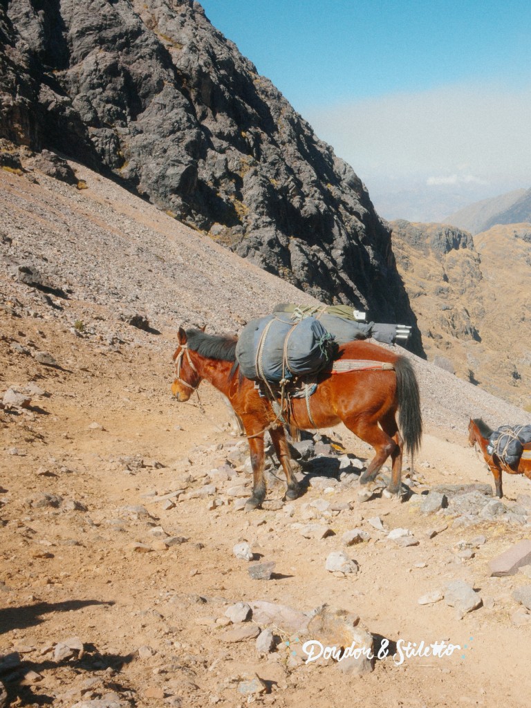 Trek du Lares 35